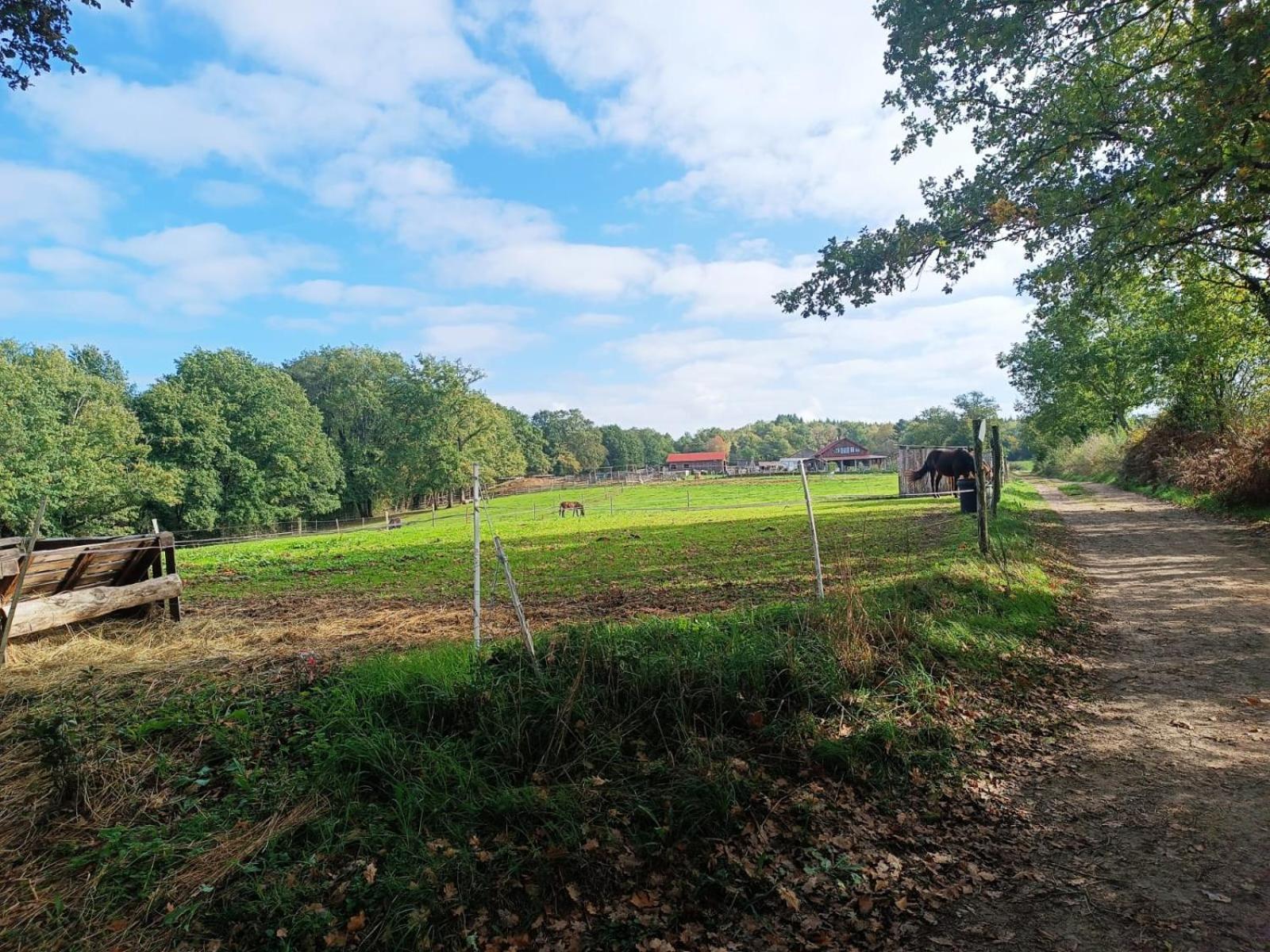 Cap Nature - T3 Et T4 En Perigord Vert - Ideal Pros Et Groupes Max 18P Champniers-et-Reilhac Exterior foto
